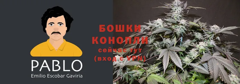 купить наркотик  гидра ТОР  Бошки Шишки THC 21%  Новоузенск 